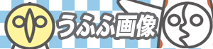 おもしろ画像